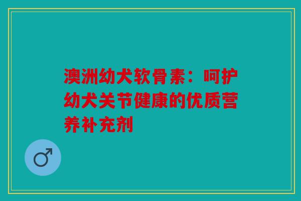 澳洲幼犬软骨素：呵护幼犬关节健康的优质营养补充剂