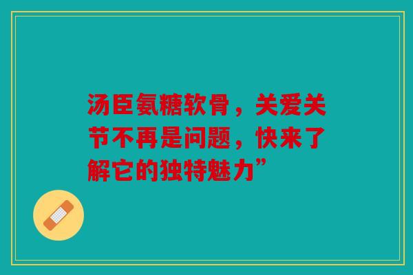 汤臣氨糖软骨，关爱关节不再是问题，快来了解它的独特魅力”
