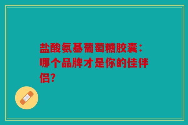 盐酸氨基葡萄糖胶囊：哪个品牌才是你的佳伴侣？