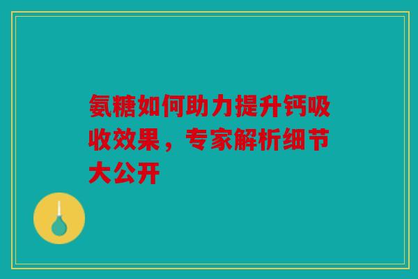 氨糖如何助力提升钙吸收效果，专家解析细节大公开