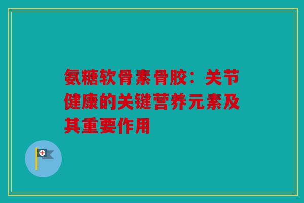 氨糖软骨素骨胶：关节健康的关键营养元素及其重要作用