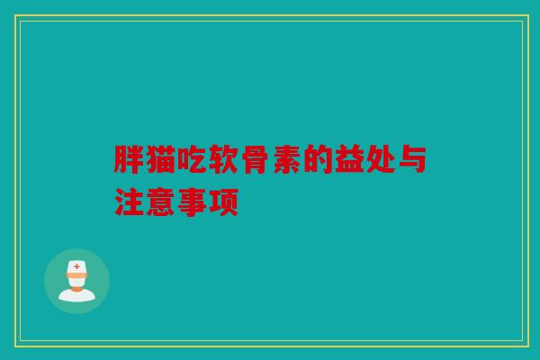 胖猫吃软骨素的益处与注意事项