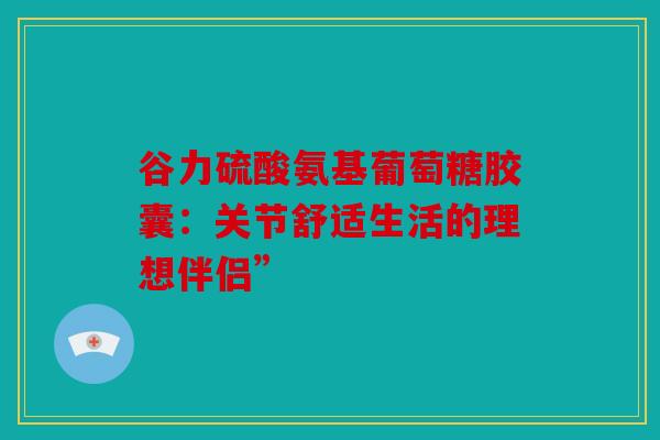 谷力硫酸氨基葡萄糖胶囊：关节舒适生活的理想伴侣”