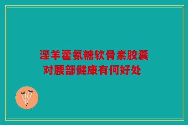 淫羊藿氨糖软骨素胶囊 对腰部健康有何好处