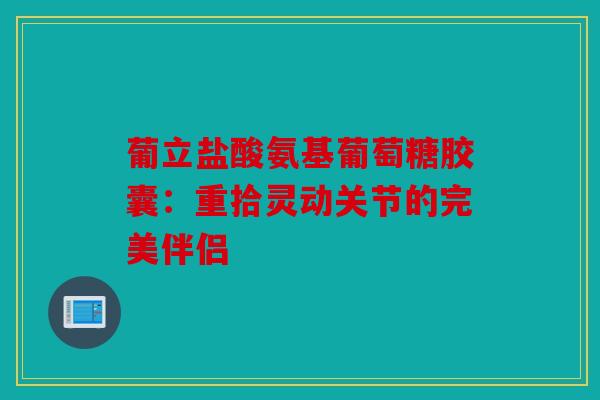 葡立盐酸氨基葡萄糖胶囊：重拾灵动关节的完美伴侣