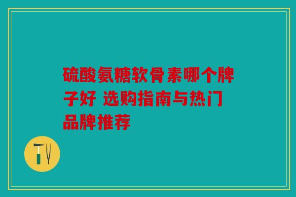 硫酸氨糖软骨素哪个牌子好 选购指南与热门品牌推荐